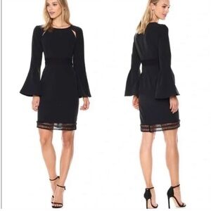 Catherine Malandrino Bell Sleeveless Sheath Dress With Lace in Black Size 8